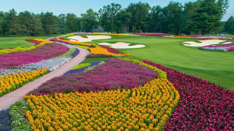 PGATUOR's tweet image. The 16th hole at SentryWorld 😍