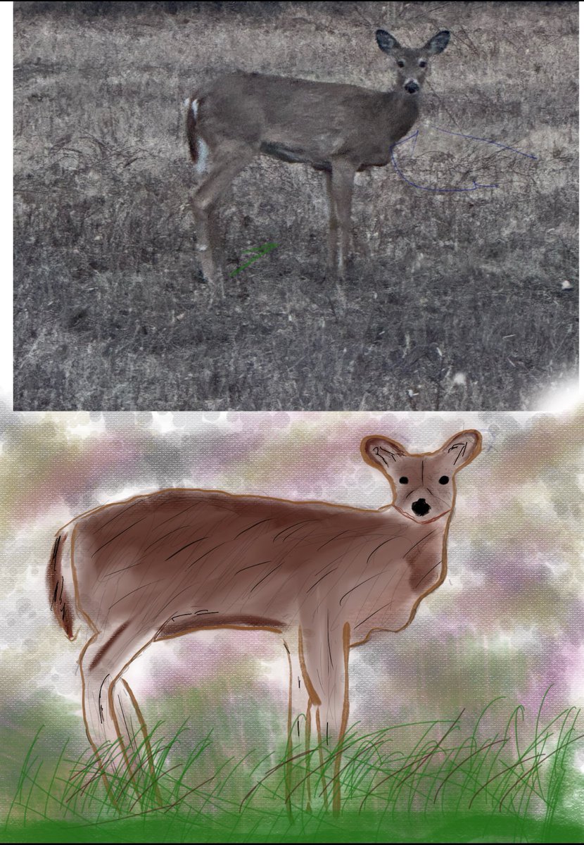 deerdolson's tweet image. still learning but quick deer sketch