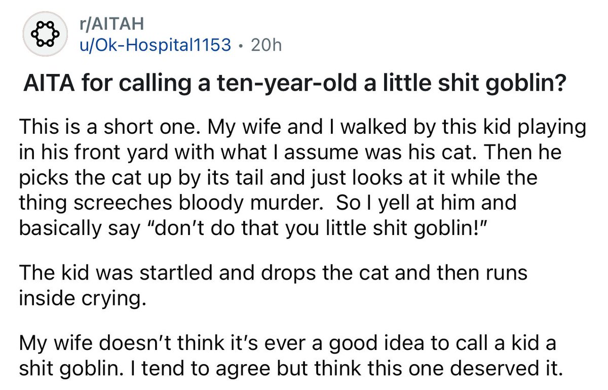 amithearsehole's tweet image. AITA for calling a ten-year-old a little sh*t goblin?