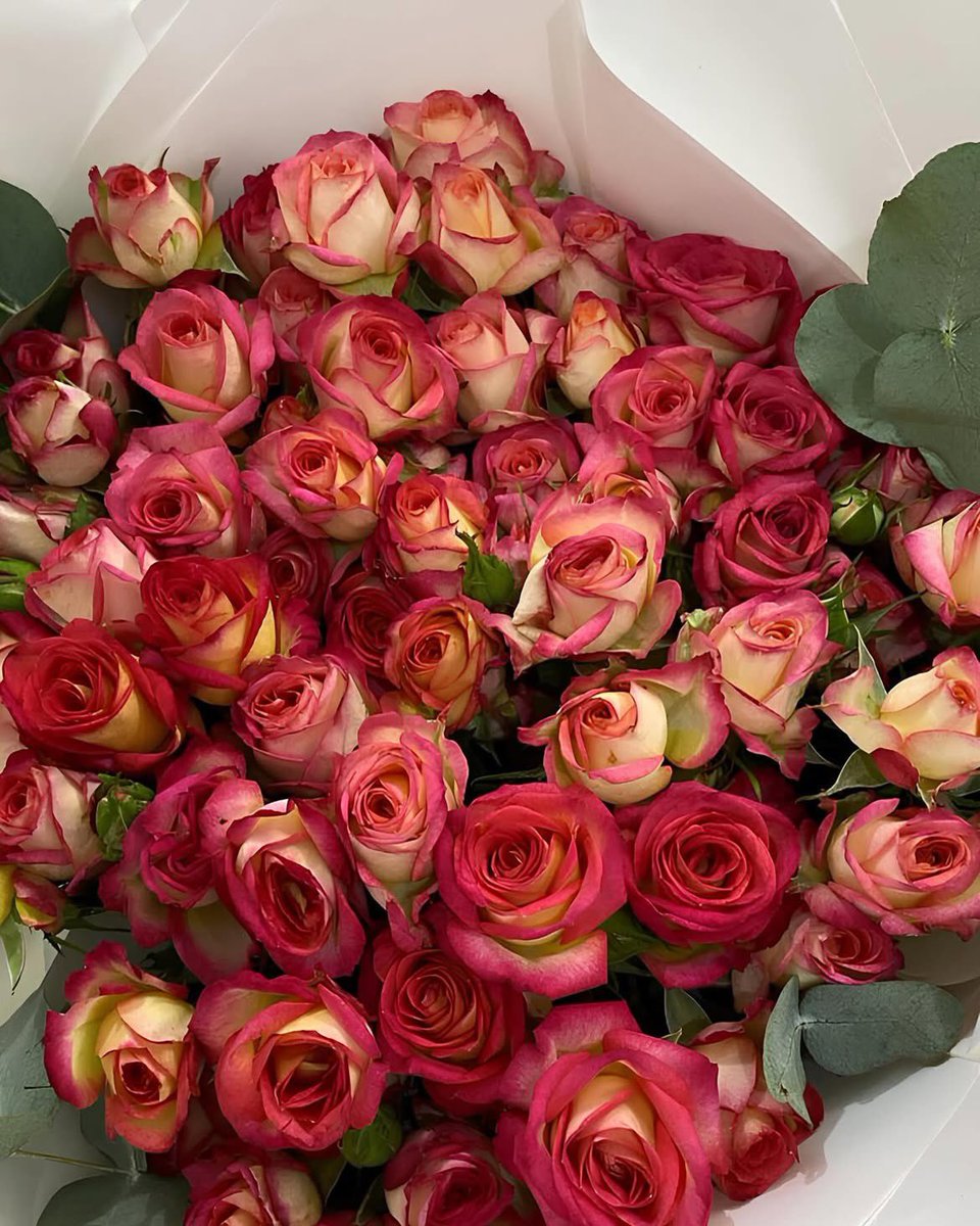Lilxil_'s tweet photo. -عيـد مبارك🎀🤍- https://t.co/zEb6ol5U0c