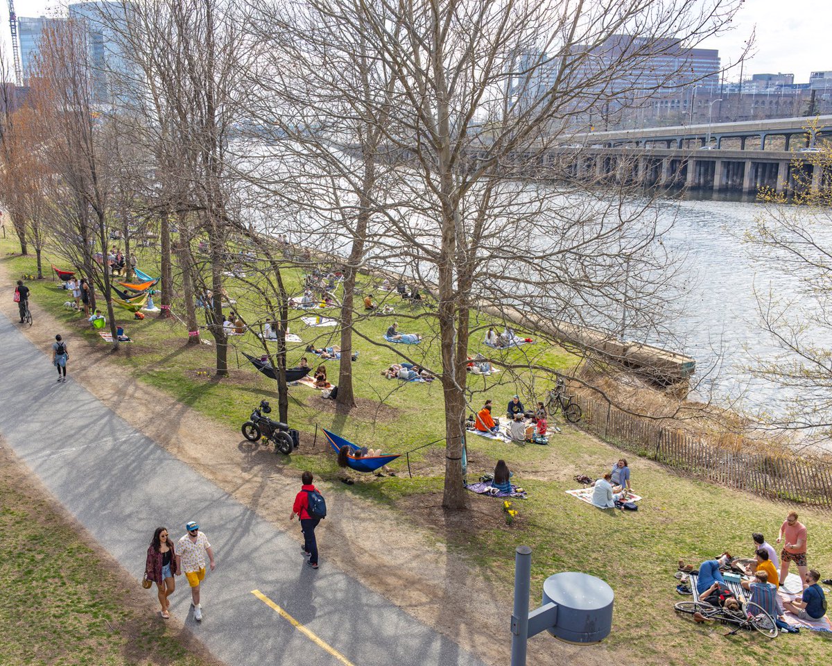 A typical Saturday in Philly. The blossoms and magnolias are starting to bloom!