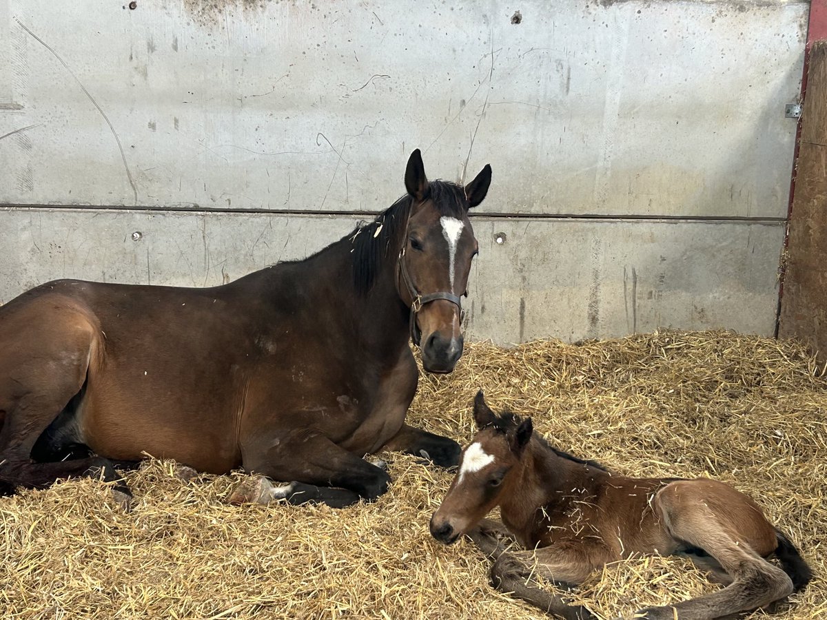 2nd of the week time for bed