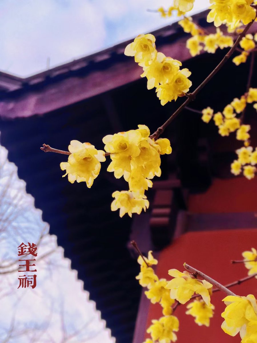 ourplayandart's tweet photo. #Paean hums in air
waking up the spring flowers
whispering to sky
#haiku
#hailuchallenge
#HaikuSaturday
#vss365
@Bleu_Owl https://t.co/9gYfVTJ8of