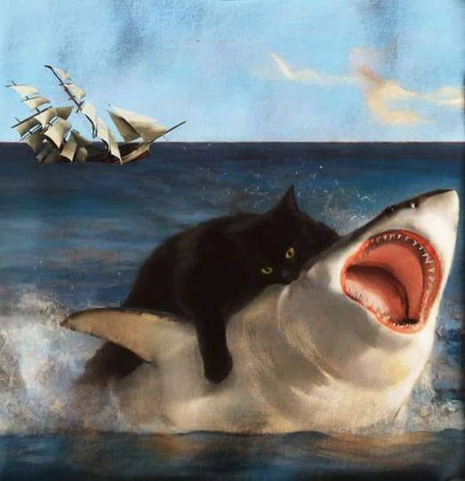 <a href="/AMAZlNGNATURE/">Nature is Amazing ☘️</a> Cats obviously! (shark lost)