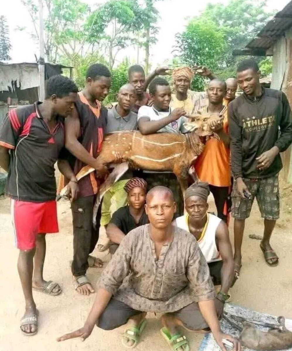 _hafsat_paki's tweet image. They were licensed hunters !!!
May Allah grant them jannah