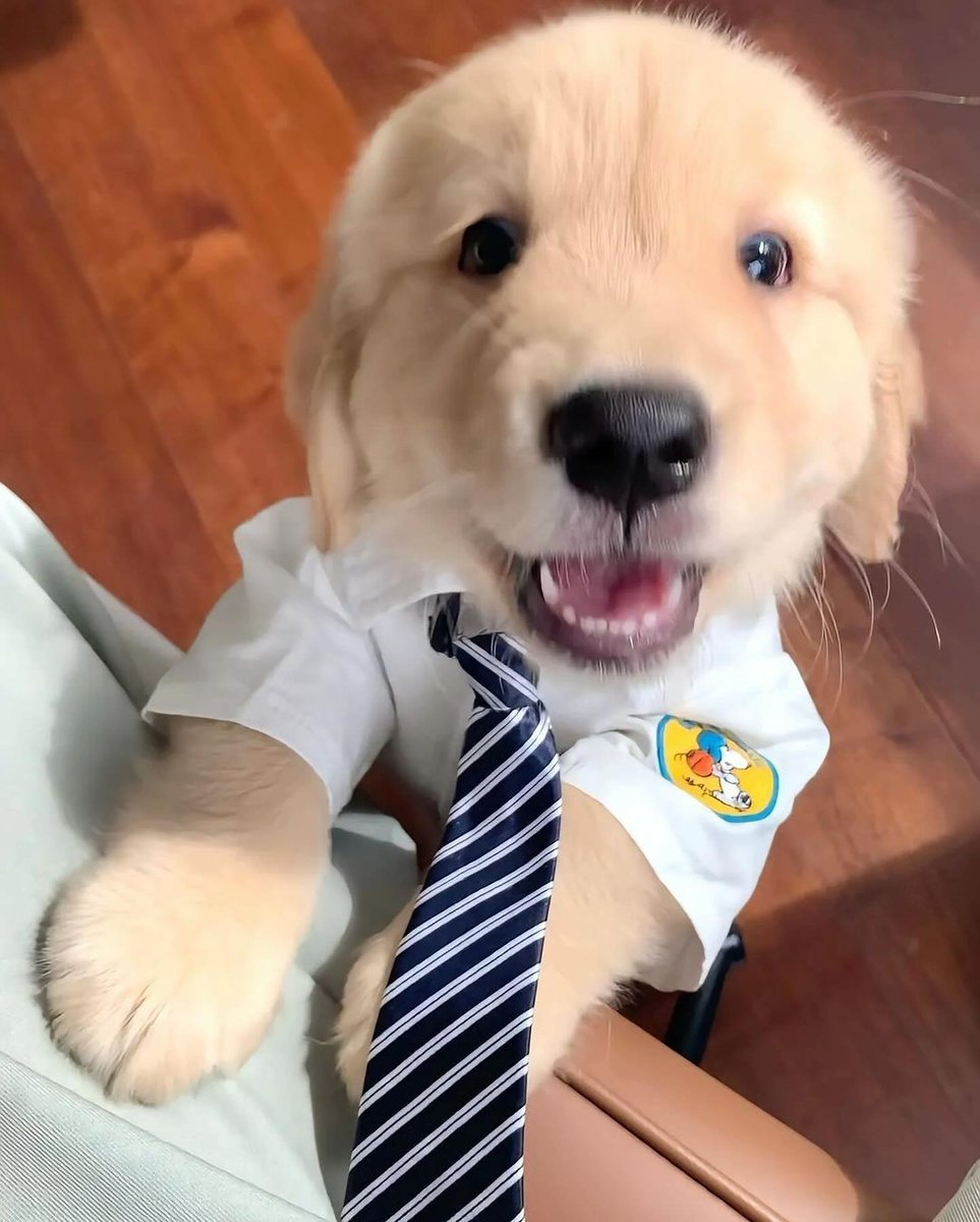 Larry Dragospiro tweet media