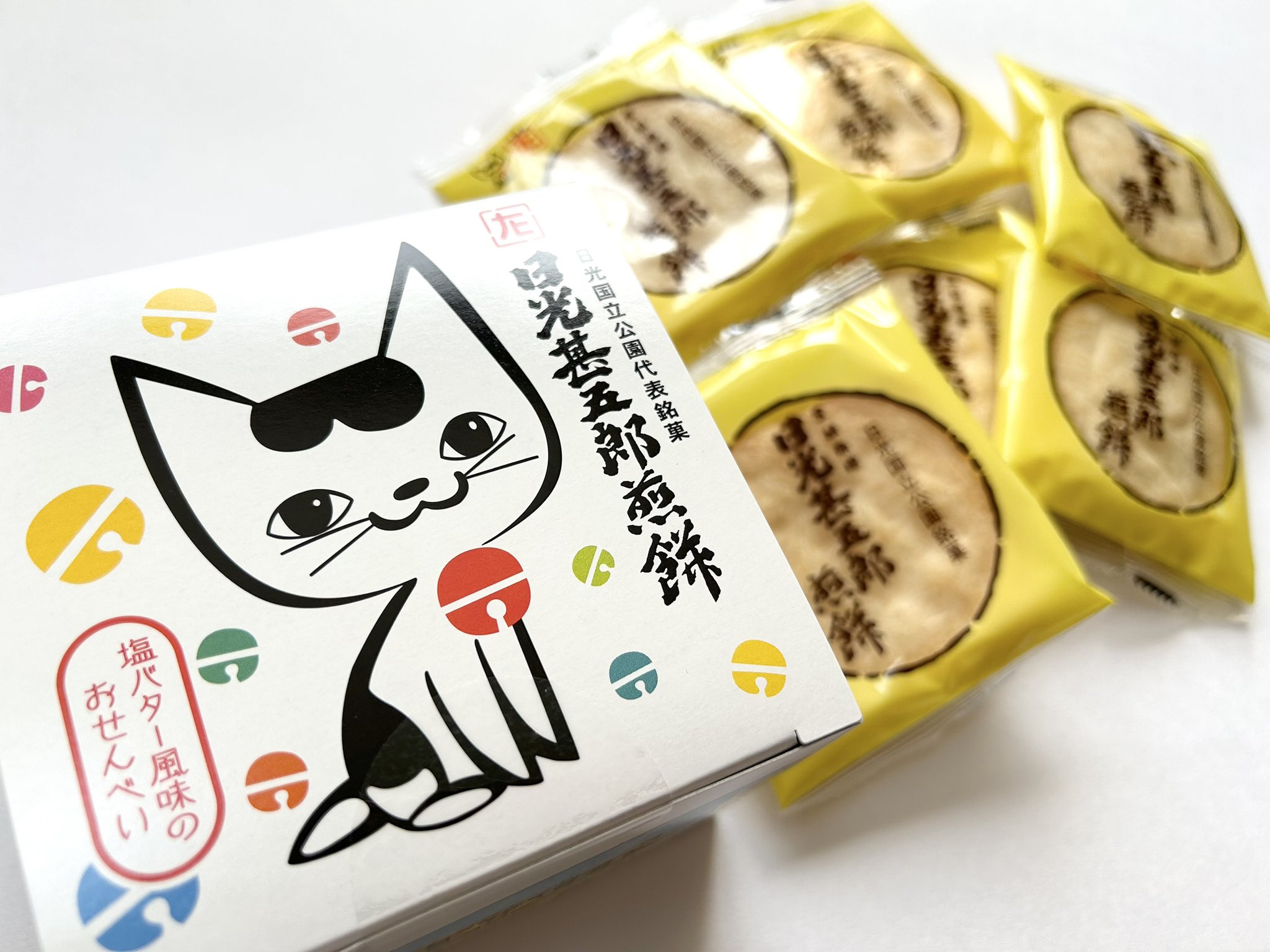 有田焼/ねむり猫 ごのねこ豆皿（みずたまねこ・有田焼）