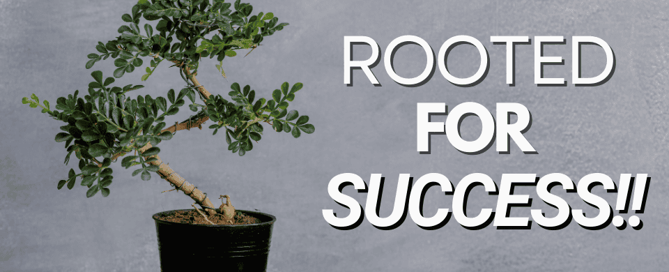 evergladestrees's tweet photo. 🌳 Tiny roots, huge impact! Learn how dwarf tree roots adapt &amp; thrive in small spaces. Root health = tree health!
👉 Discover more: 🔗 https://t.co/nmBTpuEVCD
#DwarfTrees #RootCare #GardeningTips #EvergladesFarm https://t.co/QzuhXYDK1M