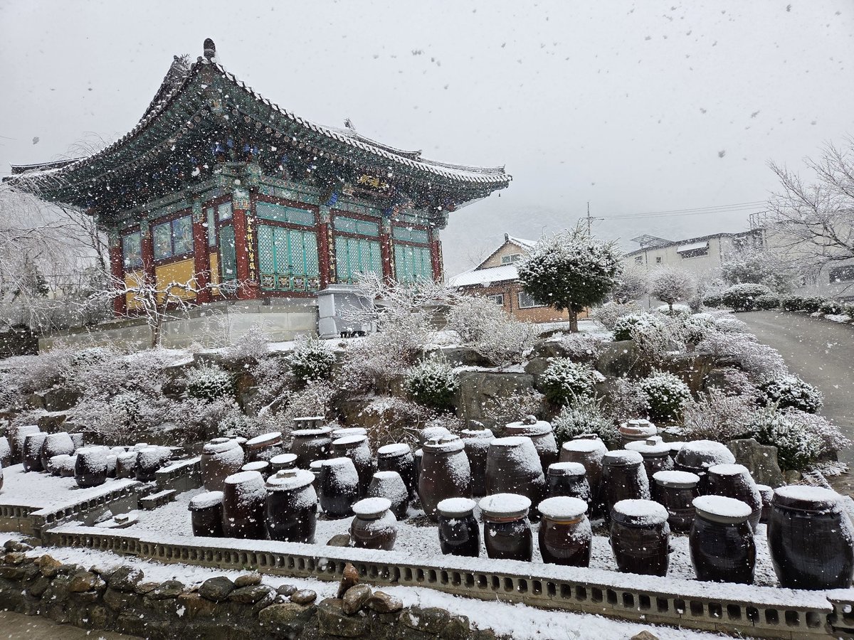 어제 초하루
봄눈이 
꽃눈처럼 왔다