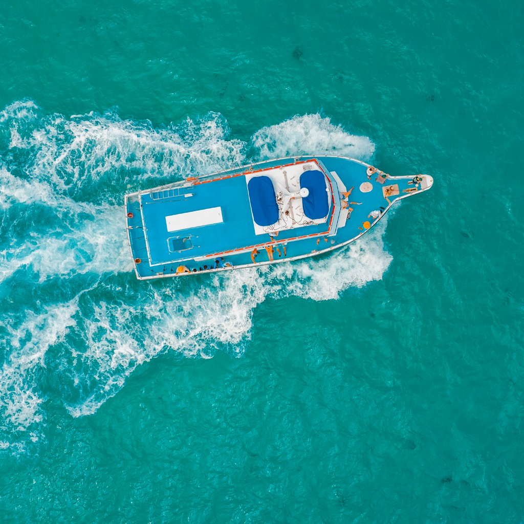 CaptMichaelFish's tweet photo. Let’s make 2025 unforgettable! 📖🎇 Don’t miss out on the best fishing trips in Islamorada—reserve your spot with Captain Michael Party Boat Fishing. ⚓

#boat #charter #partyboat #travel #florida #fishing #sea #fish #floridakeys #islamorada https://t.co/DJ9Wkcaij1
