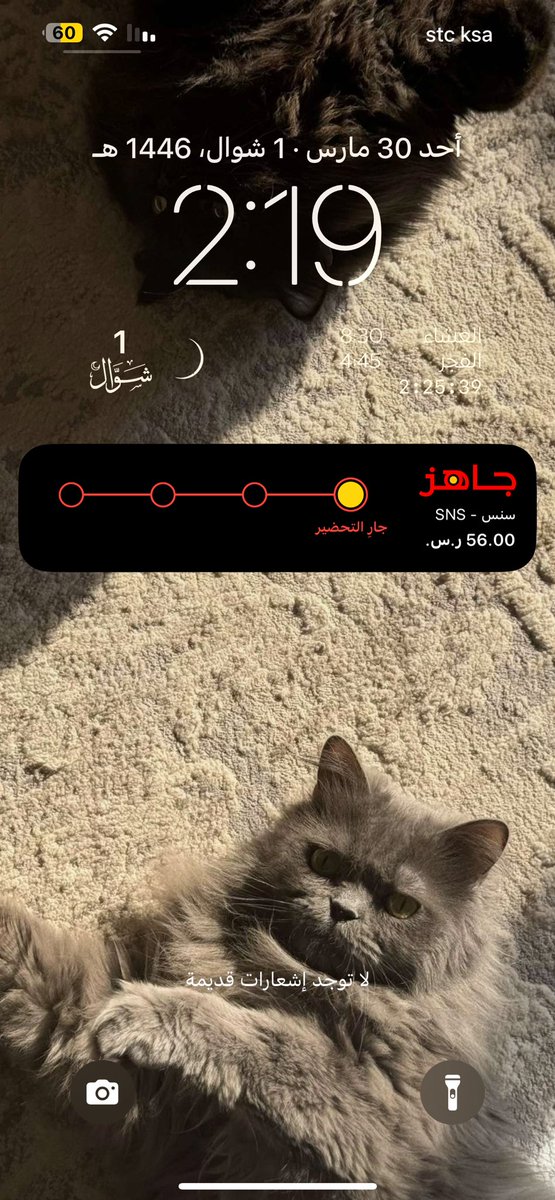 قهوة الميك اب والتزقرت🫦