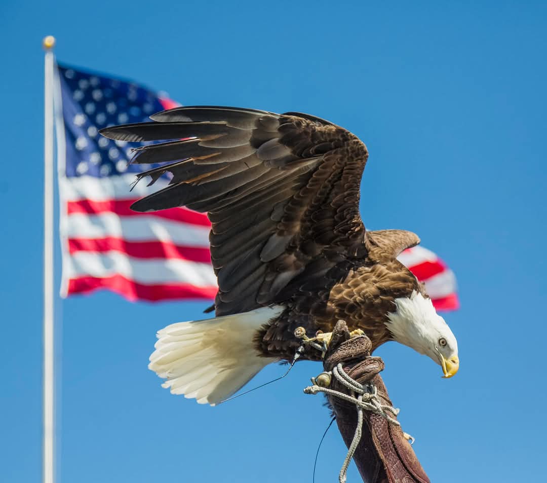 Only At Southern tweet media