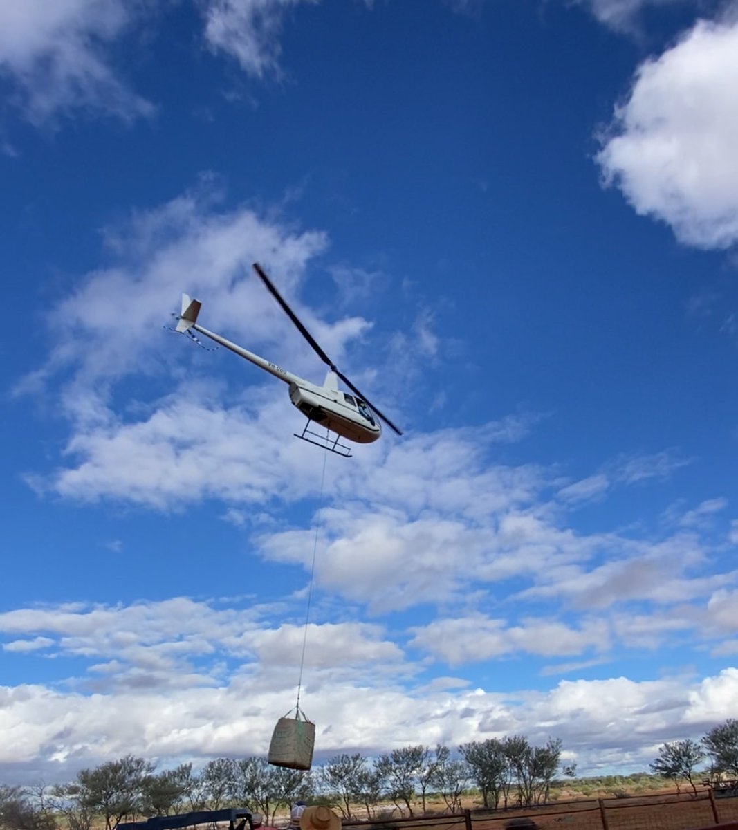 We got started with the important business yesterday. 
Thanks to these two blokes from Cloncurry Mustering. Subbing for Channel Country Helicopters.