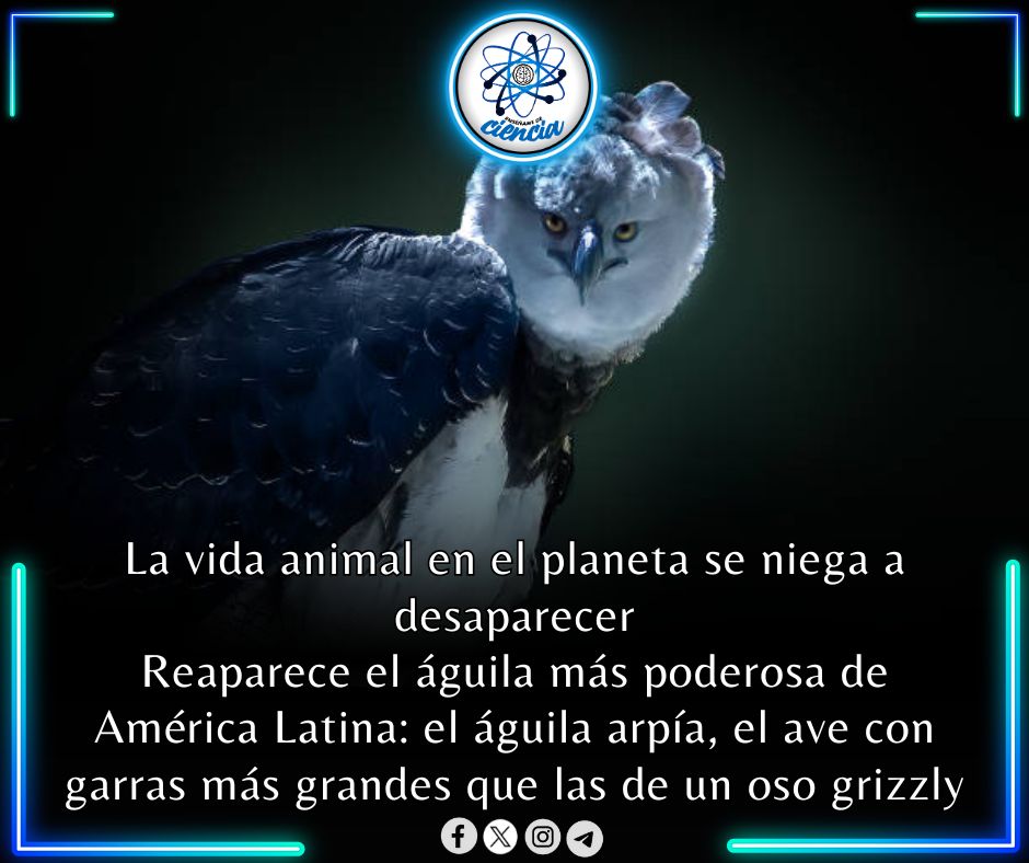 EnsedeCiencia's tweet photo. https://t.co/ihiLoaXpBc