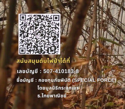 kkigyu tweet media