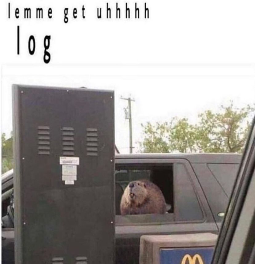 hourly_shitpost's tweet image. 