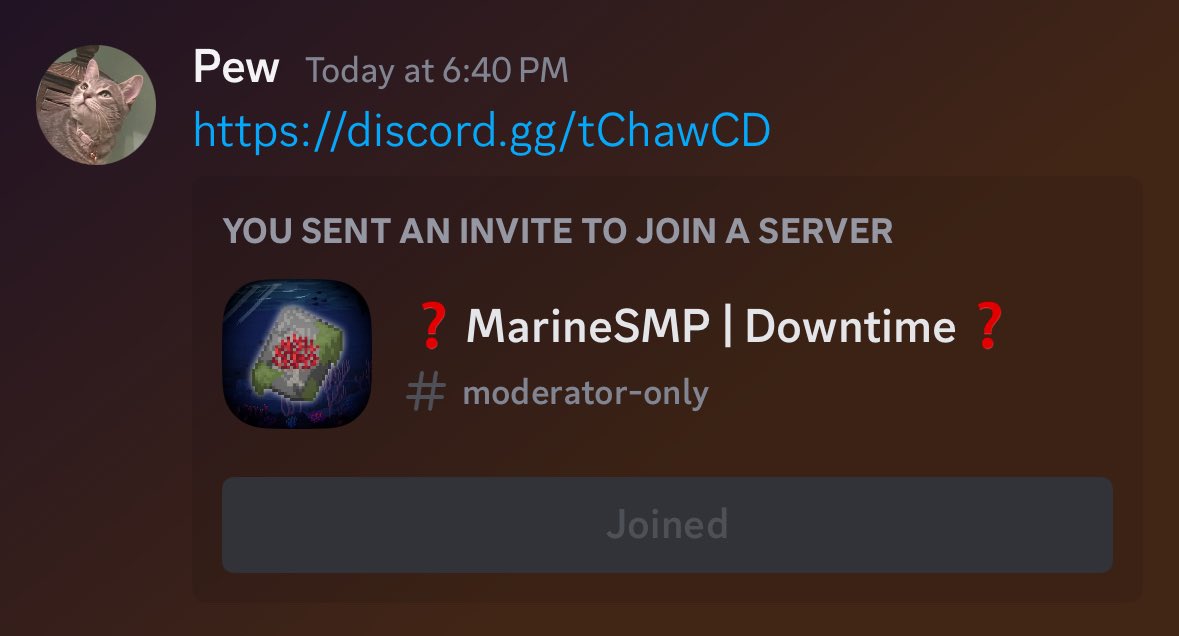 MarineSMP tweet media