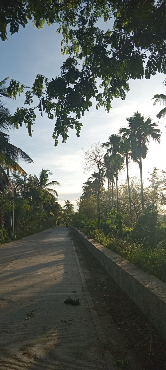 GetReed_Ranger's tweet photo. Fitness first
Fck n sck next

#morningjog
#pasingot https://t.co/KdxoTgOBMG