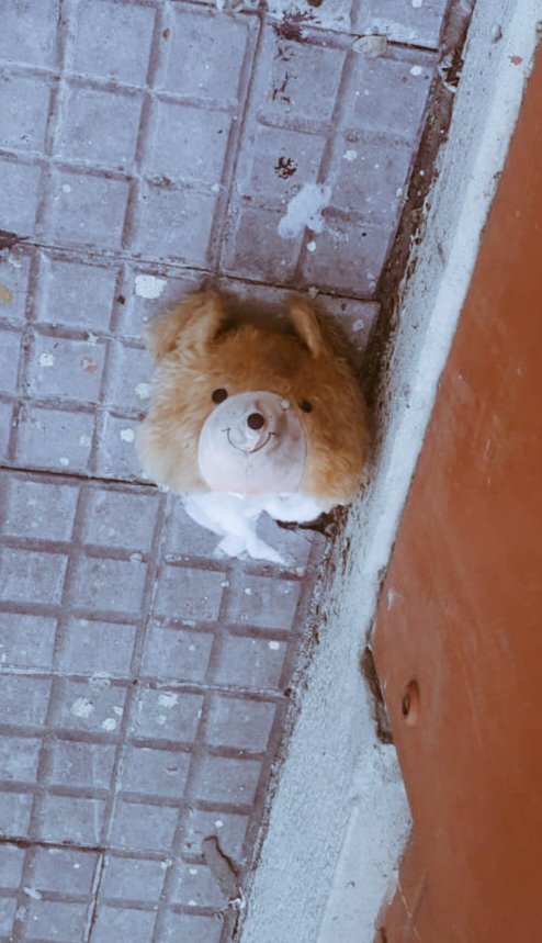 gustavoinsua's tweet photo. Sábado de osos decapitados en #Montevideo

#osos #decapitados
(Osos Decapitados, el nombre de mi próxima banda indie) https://t.co/NzDLu0GlxB