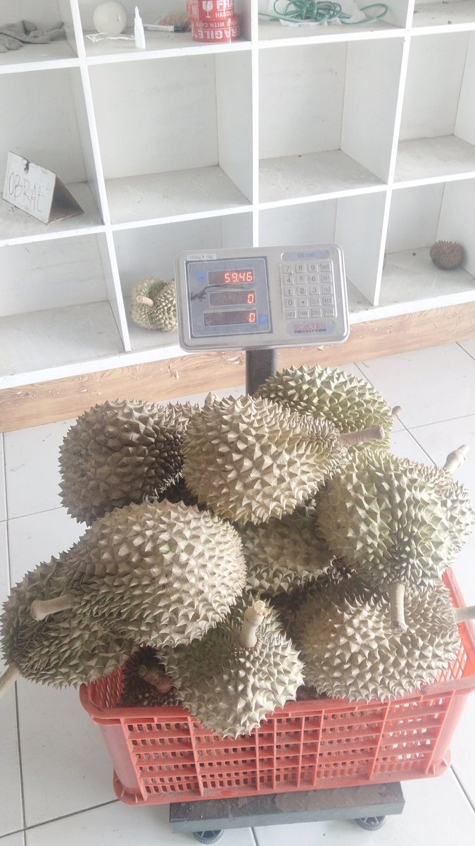 Santo bibit duren (@ketilengsanto) on Twitter photo 