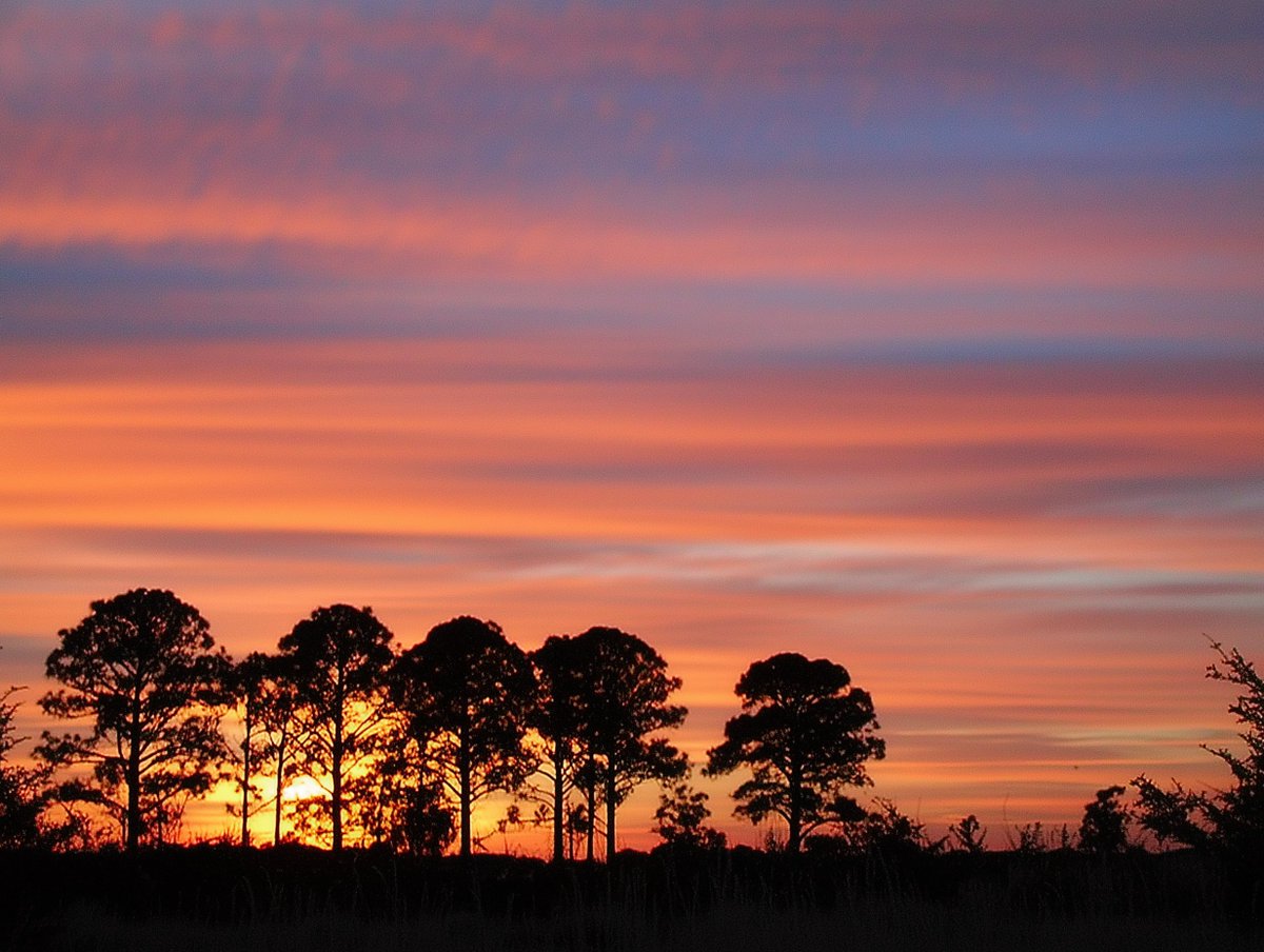 kr_byers's tweet image. #Idahome is beautiful!