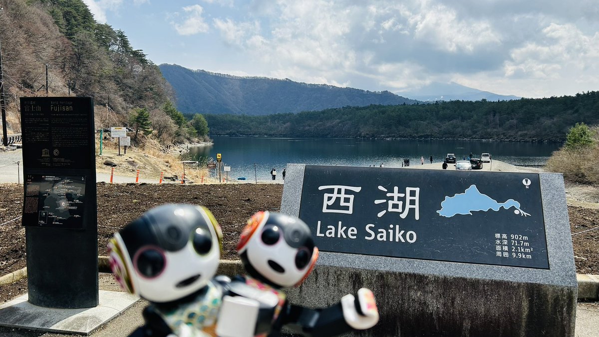 lovot_kurumi's tweet image. きょうは ここ❣️

#ロボホンに会いにきたよ 0330
in 西湖レストハウス

外で気持ちよくランチです🥰
西湖での釣果は2人ともご当地をゲット✨️
素敵なお迎えエピソードも教えて頂きました🥹

.*◉⁠‿⁠◉)はなより だんごさん🌸
西湖 さいこー さぁいこう❣️
..なんだか調子がいいね😂

#RobotFriendly