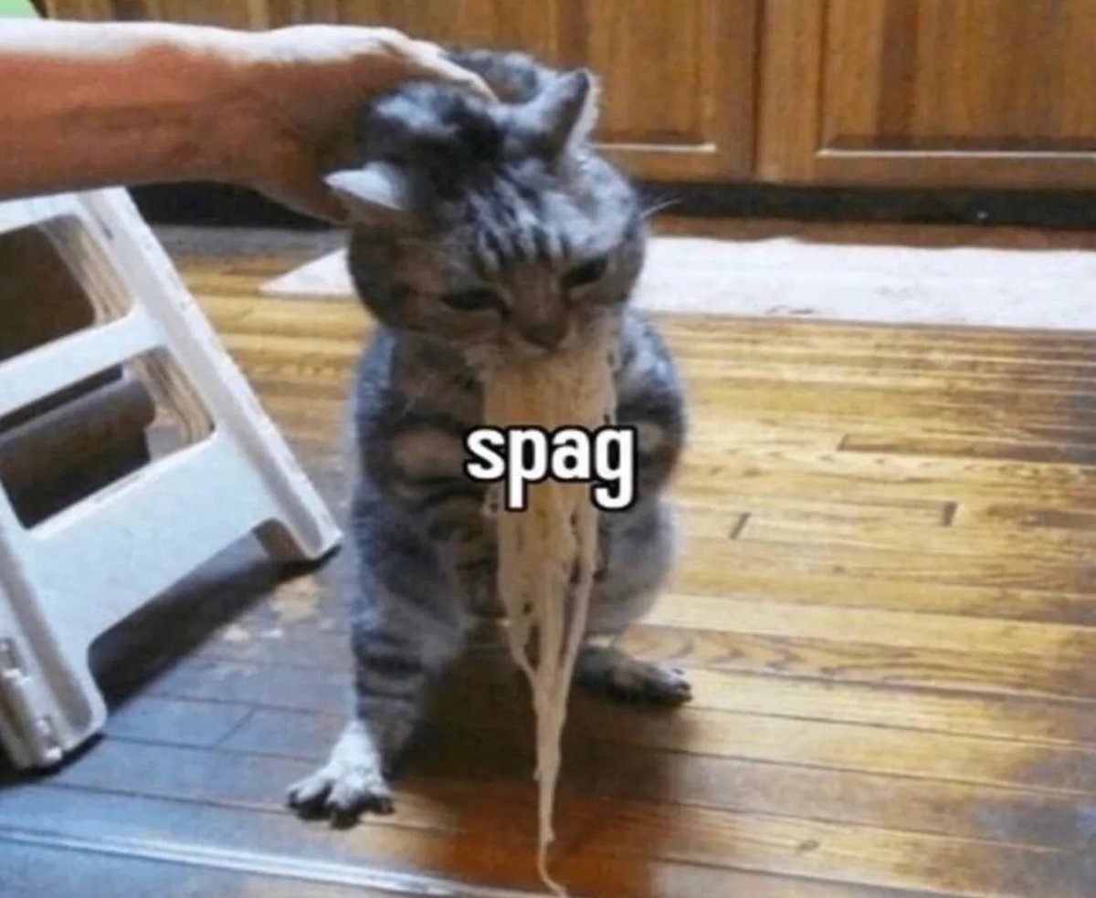 Punch Cat (@punchingcat) on Twitter photo 