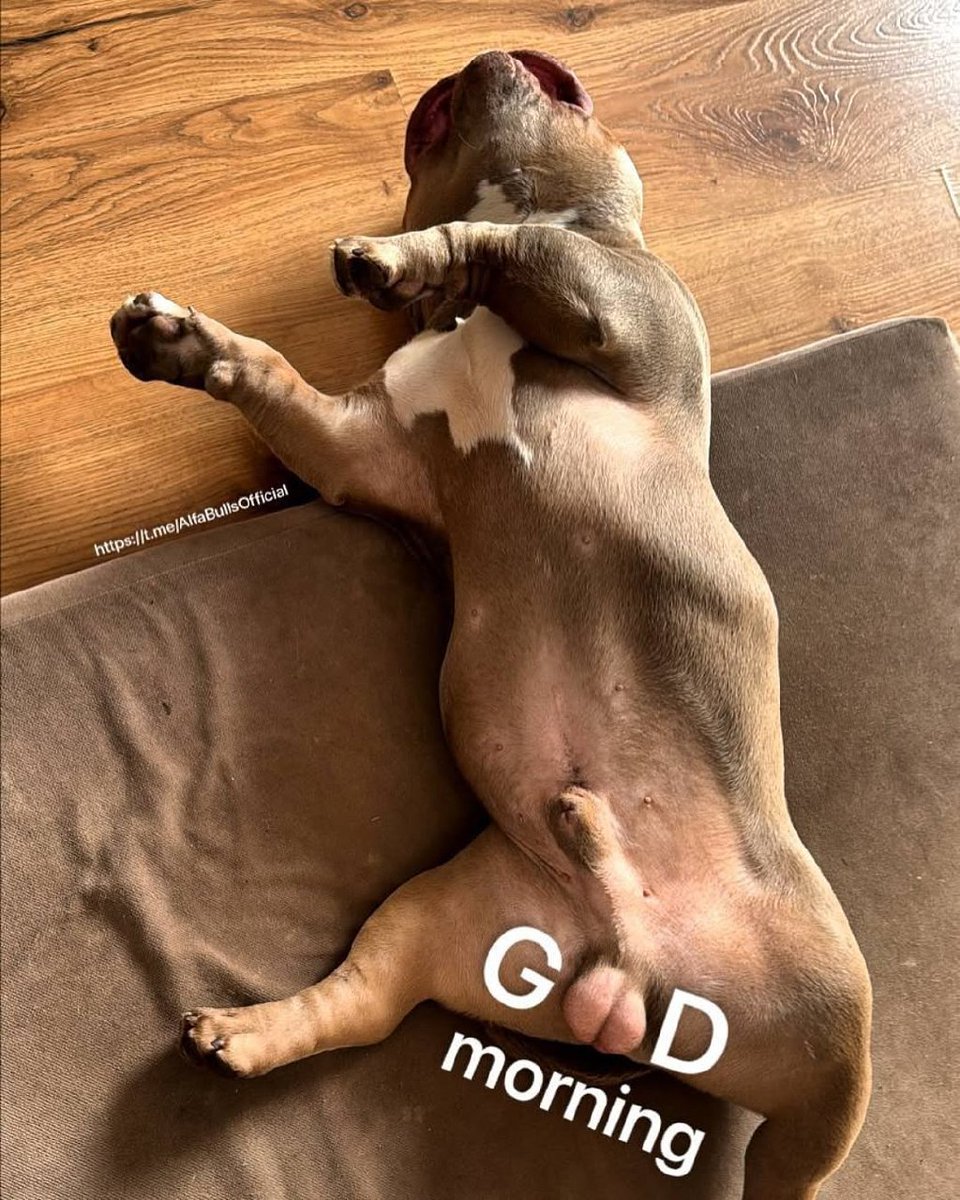 Have a good day,🫂