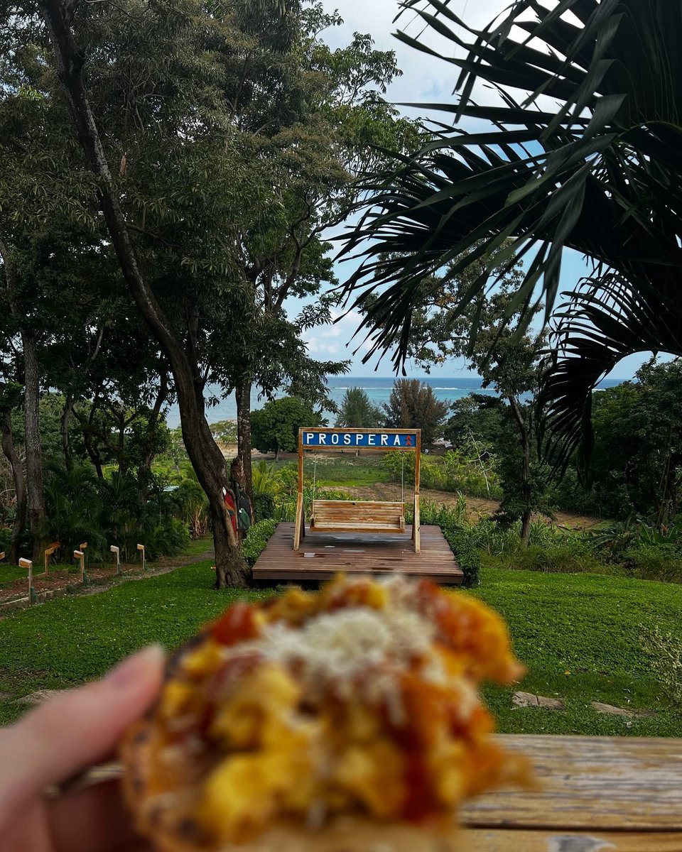 anna9vakh's tweet image. 🏝️ Roatán isn’t just a paradise island — it’s where biotech dreams come true.
Gene therapies over breakfast, startups in swimsuits, billionaires dropping by.
🧡 A warm, weird, magical second home.
📸 Some pictures/moments. 

#Longevity #InfinitaCity #Prospera #Biohacking