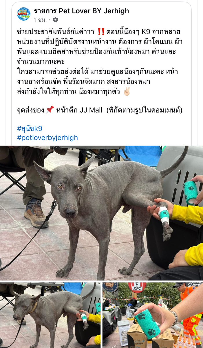 ต้องการจำนวนกมากค่ะ  ช่วยกระจ่ายข่าวที่ค่ะ #แผ่นดินไหวประเทศไทย <a href="/Build_FamilyFC/">Build_Family FC</a>