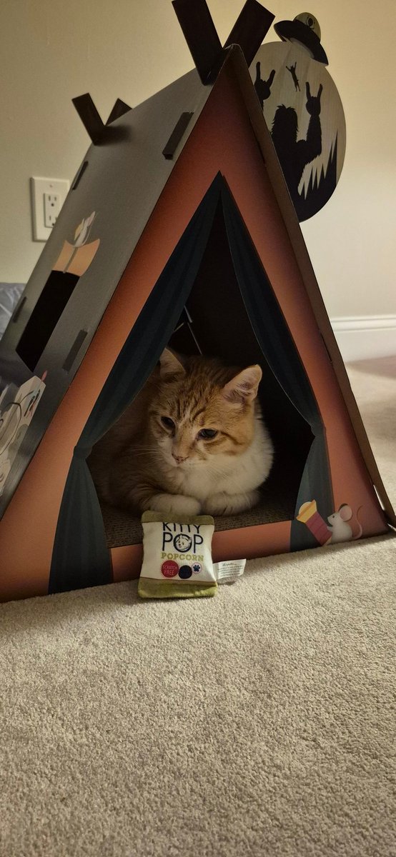 What do you think of my new tent?
