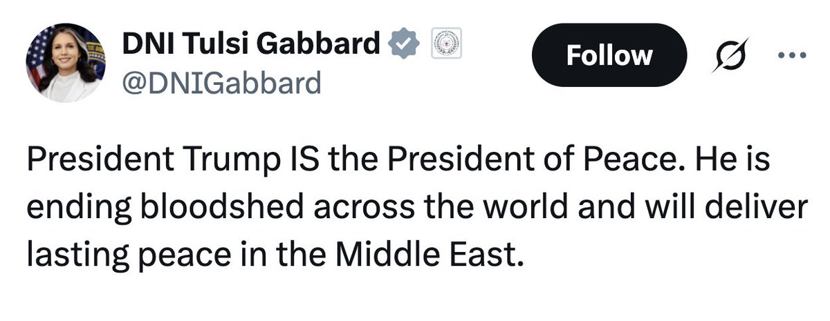 Caitlin Johnstone (@caitoz) on Twitter photo 