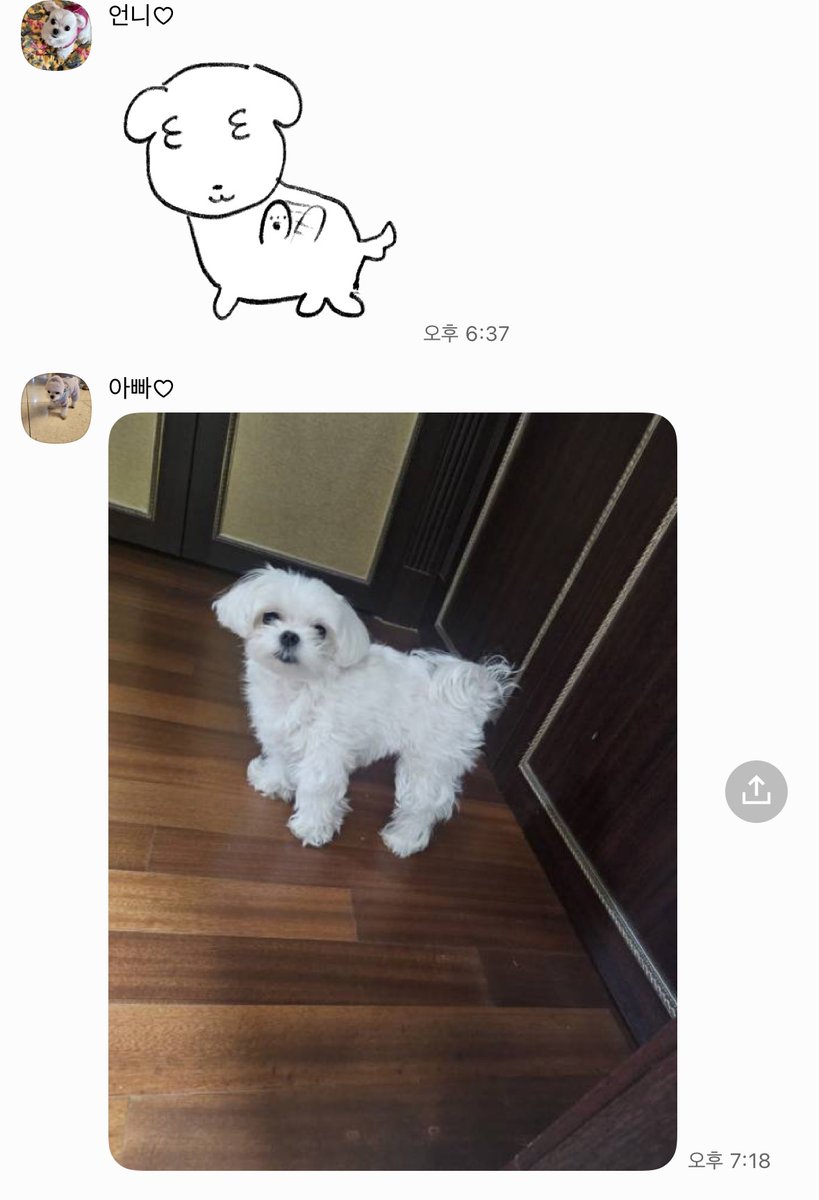 가족 톡방 🐶🐶
