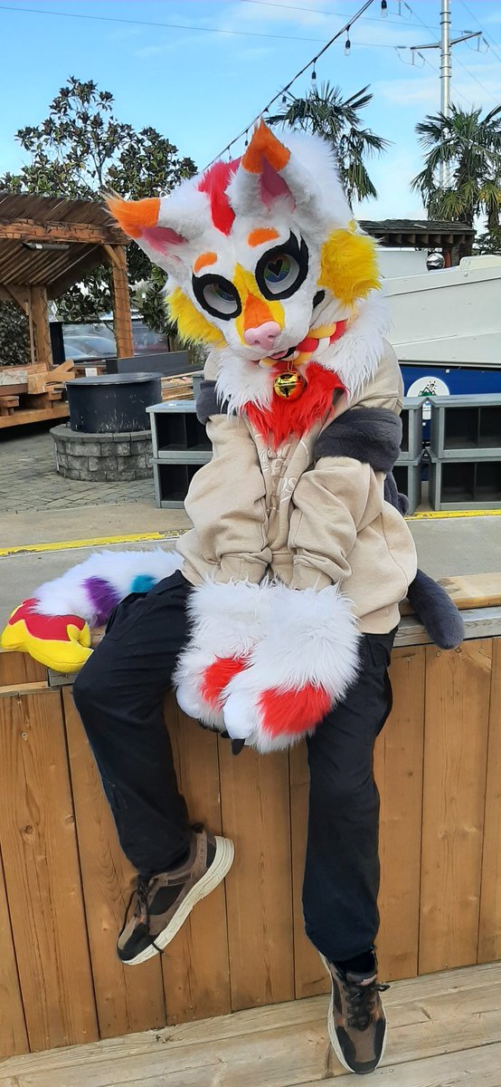 saltedshrimpyy's tweet photo. thank you #islandfancon for such a fun first fursuit outing!! :DD https://t.co/bFUHah2Dbq