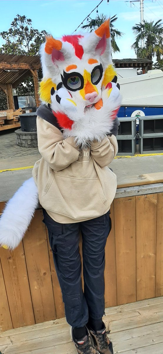 saltedshrimpyy's tweet photo. thank you #islandfancon for such a fun first fursuit outing!! :DD https://t.co/bFUHah2Dbq