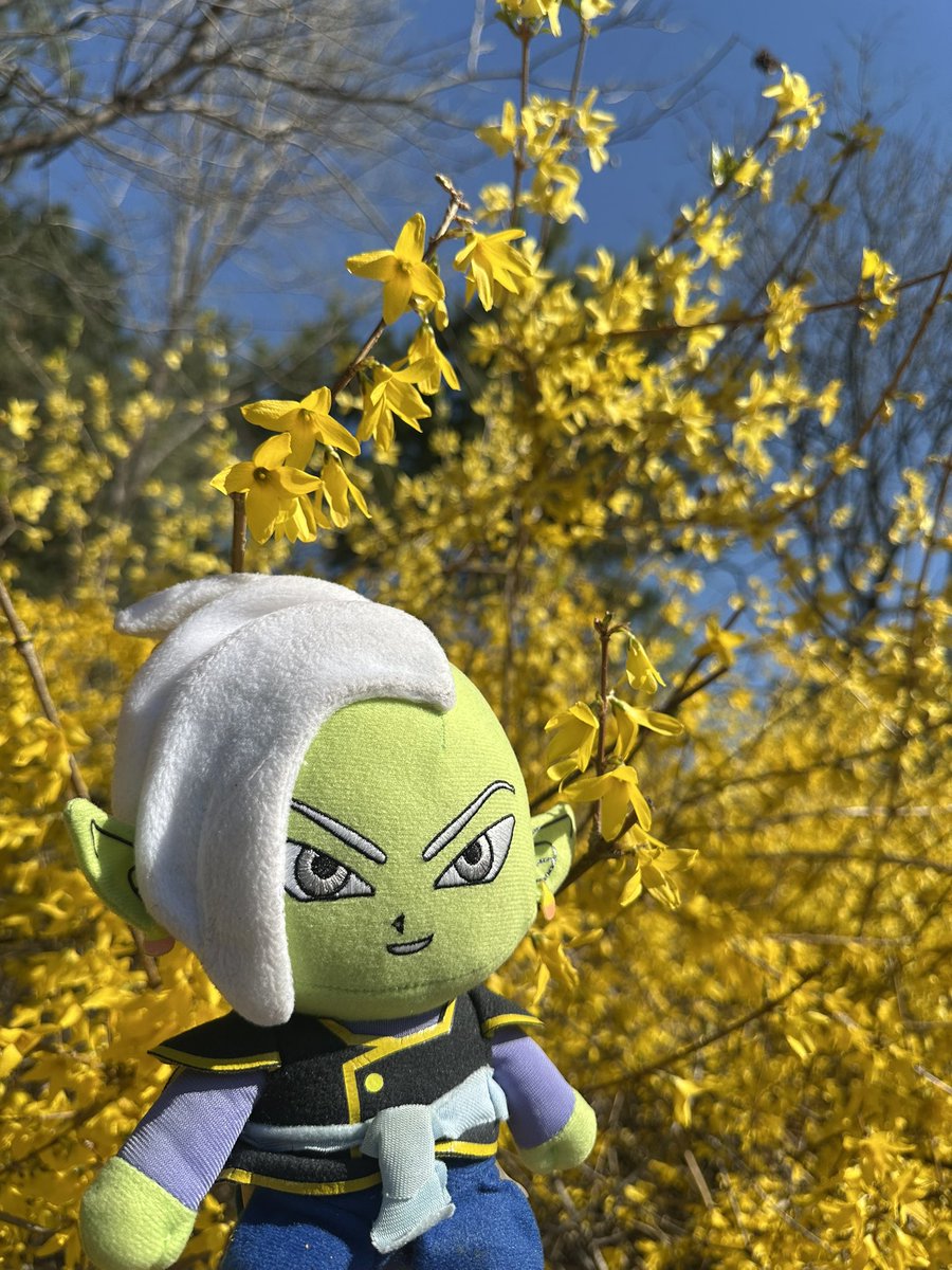 SnidgetK's tweet photo. spring #Zamasu https://t.co/ClZ1MyopeD