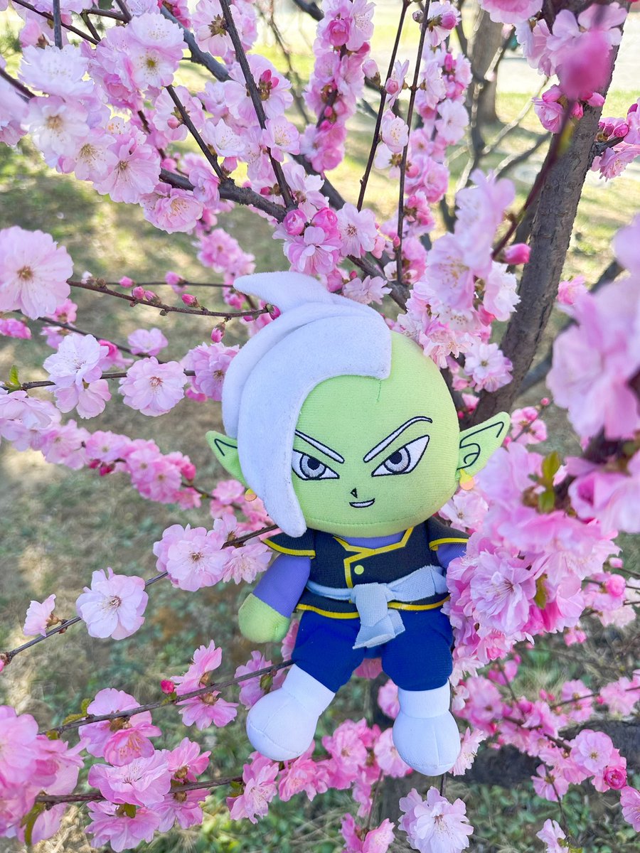 SnidgetK's tweet photo. spring #Zamasu https://t.co/ClZ1MyopeD