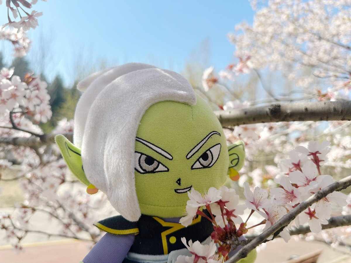 SnidgetK's tweet photo. spring #Zamasu https://t.co/ClZ1MyopeD