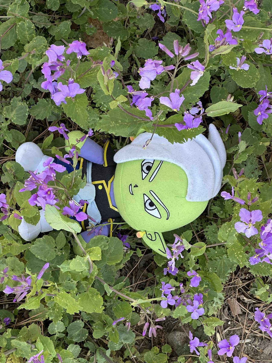 SnidgetK's tweet photo. spring #Zamasu https://t.co/ClZ1MyopeD