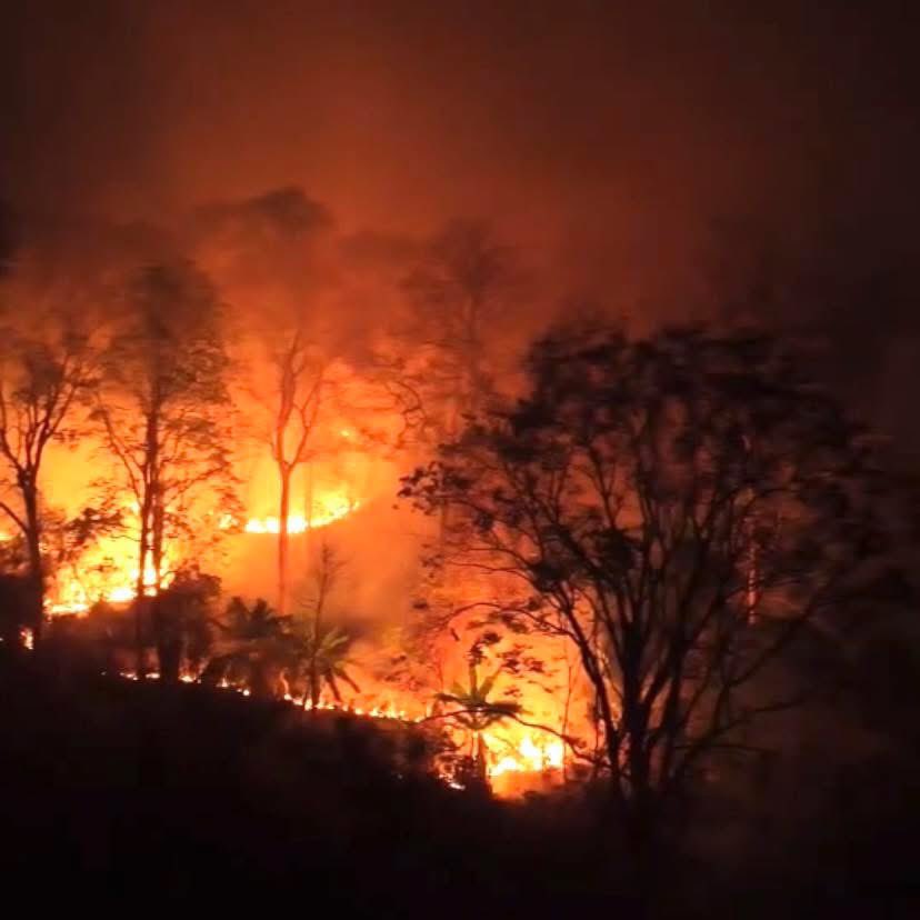 BlackCoffee_by2's tweet image. 🚨บังคับรีทวิต🚨 (ข่าวเงียบ)

ตอนนี้เหตุการณ์ไฟไหม้ป่าหลายพื้นที่มากเลยเพราะเกิดหลายจังหวัดด้วย ได้แก่จังหวัด ลำปาง,ผาสำราญแม่ฮ่องสอน,เชียงใหม่,เลย,อุดรธานี, หนองบัวลำภู,กาญจนบุรี,เพชรบูรณ์ ซึ่งไฟไหม้ป่าเกิดขึ้นหลายวันแล้วครับ

#ไฟไหม้ป่า