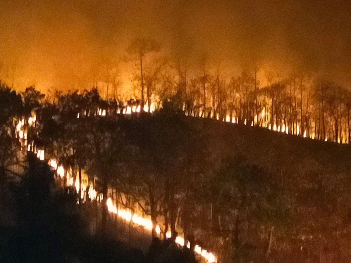 BlackCoffee_by2's tweet image. 🚨บังคับรีทวิต🚨 (ข่าวเงียบ)

ตอนนี้เหตุการณ์ไฟไหม้ป่าหลายพื้นที่มากเลยเพราะเกิดหลายจังหวัดด้วย ได้แก่จังหวัด ลำปาง,ผาสำราญแม่ฮ่องสอน,เชียงใหม่,เลย,อุดรธานี, หนองบัวลำภู,กาญจนบุรี,เพชรบูรณ์ ซึ่งไฟไหม้ป่าเกิดขึ้นหลายวันแล้วครับ

#ไฟไหม้ป่า