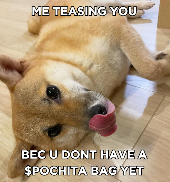 CryptoGarry30's tweet photo. Mcap check: $POCHITA still flying under the radar. But not for long. 👀🐾

#Pochita @PochitaCtoBSC https://t.co/Pwso4GYAjF