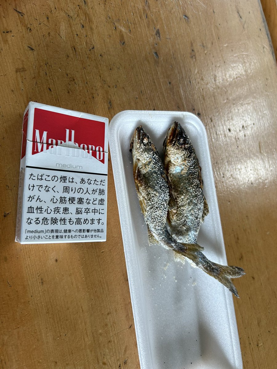 オヤツ〜٩( ᐛ )و