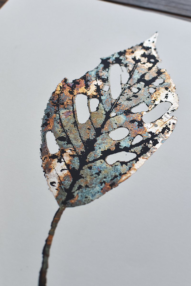 hana11_carol's tweet image. 版画作り途中🍁
落ち葉をそのまま版にして形を取りました

#版画
#screenprinting
#film