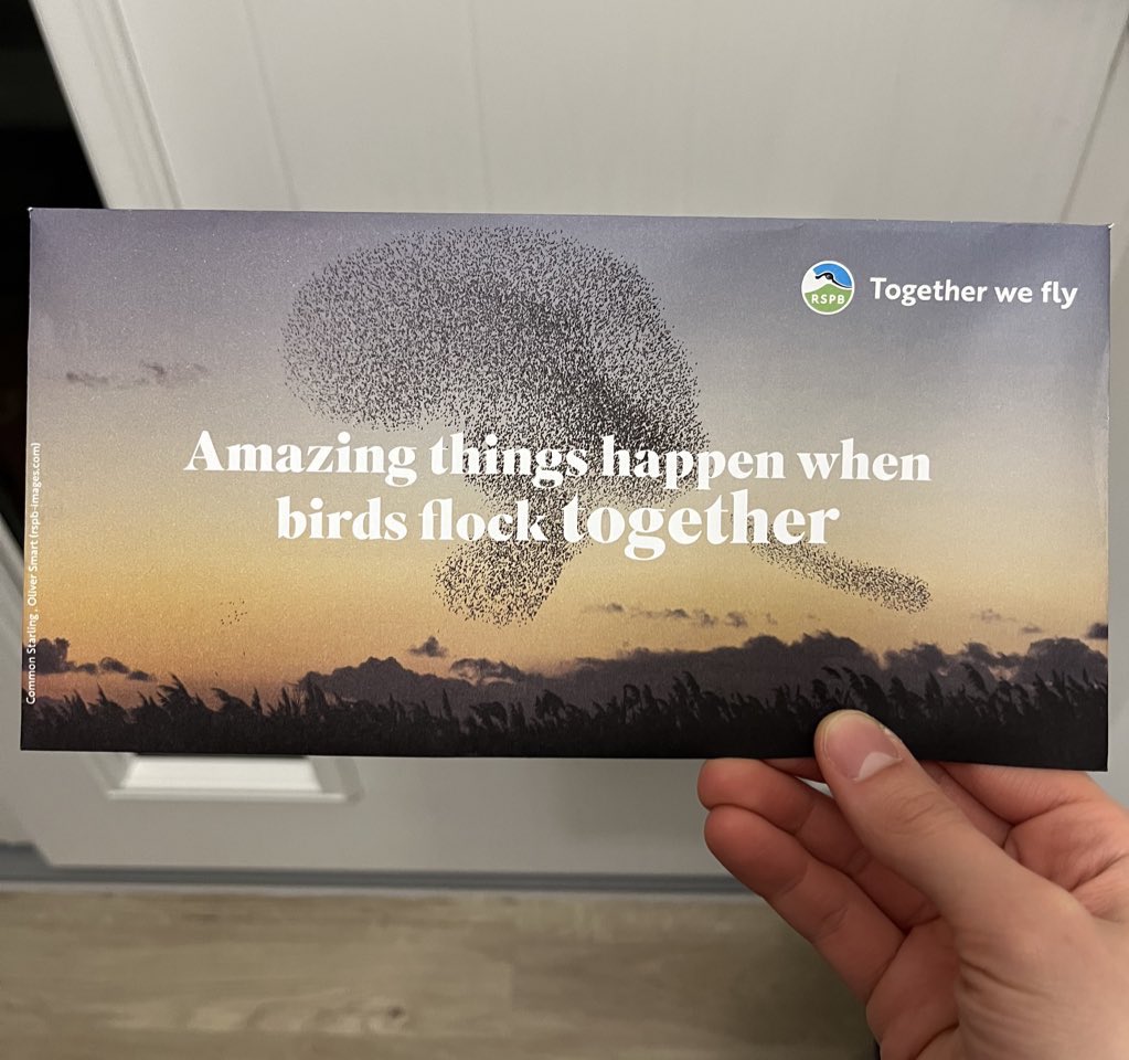 Network theory, is that you?!
