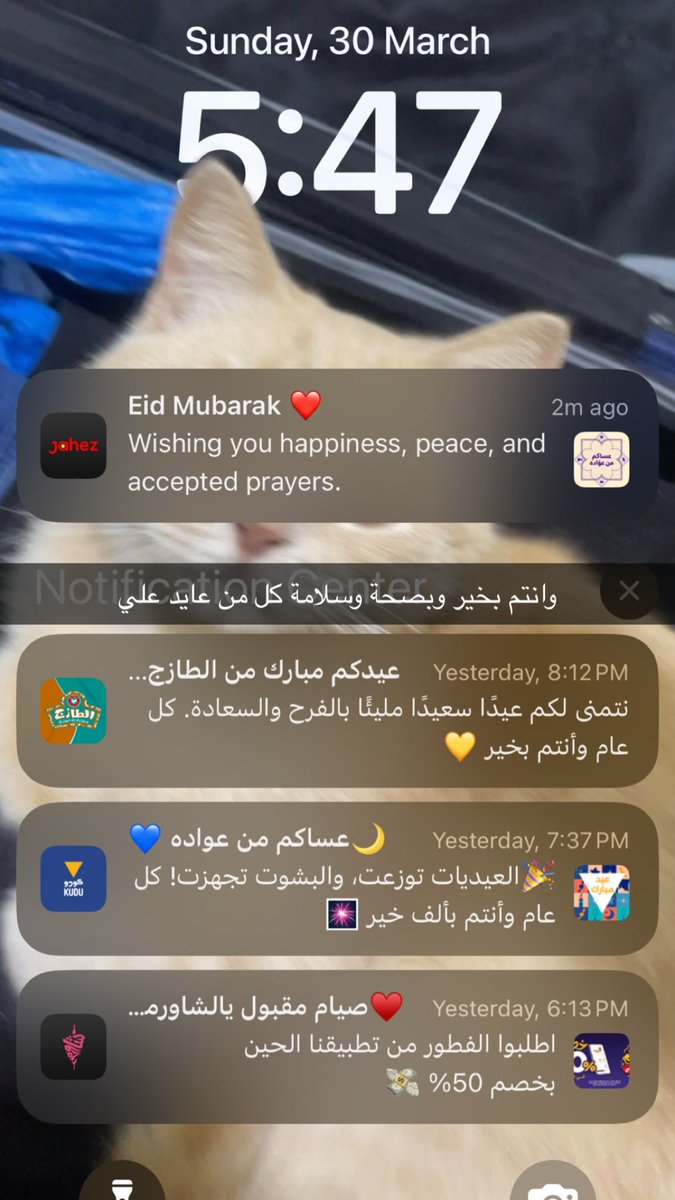 Zyoode Ms tweet media