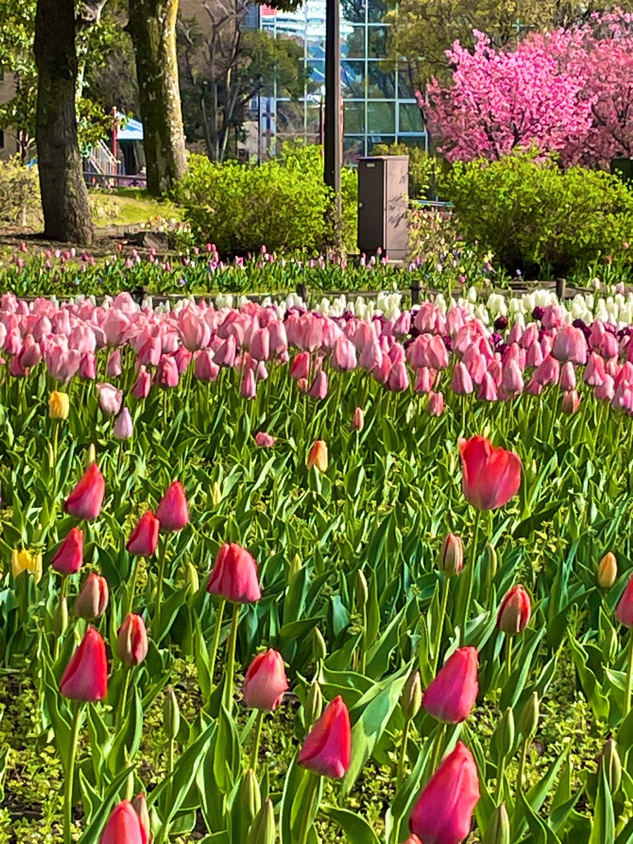 来ました🏟️
横浜スタジアム⚾️
横浜奪取✨