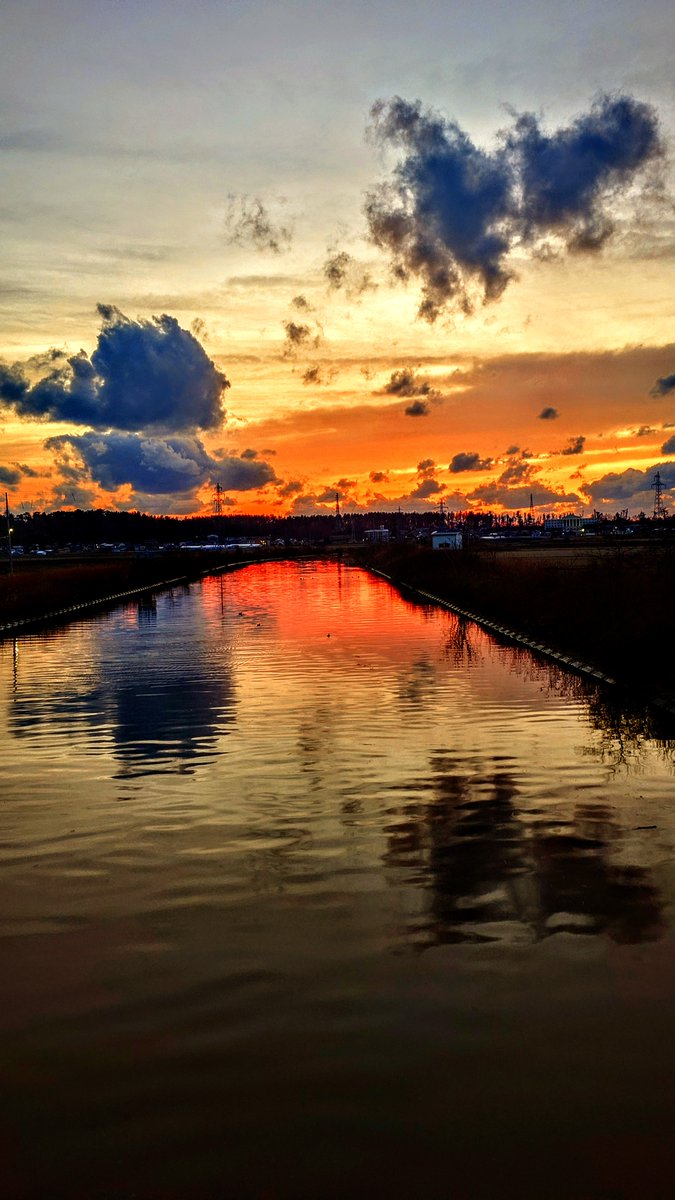 mvkqV4BWpFRLset's tweet image. 🌄カモ🦆のんびり泳いでお帰り〜🌄黄金夕焼けの中🚙