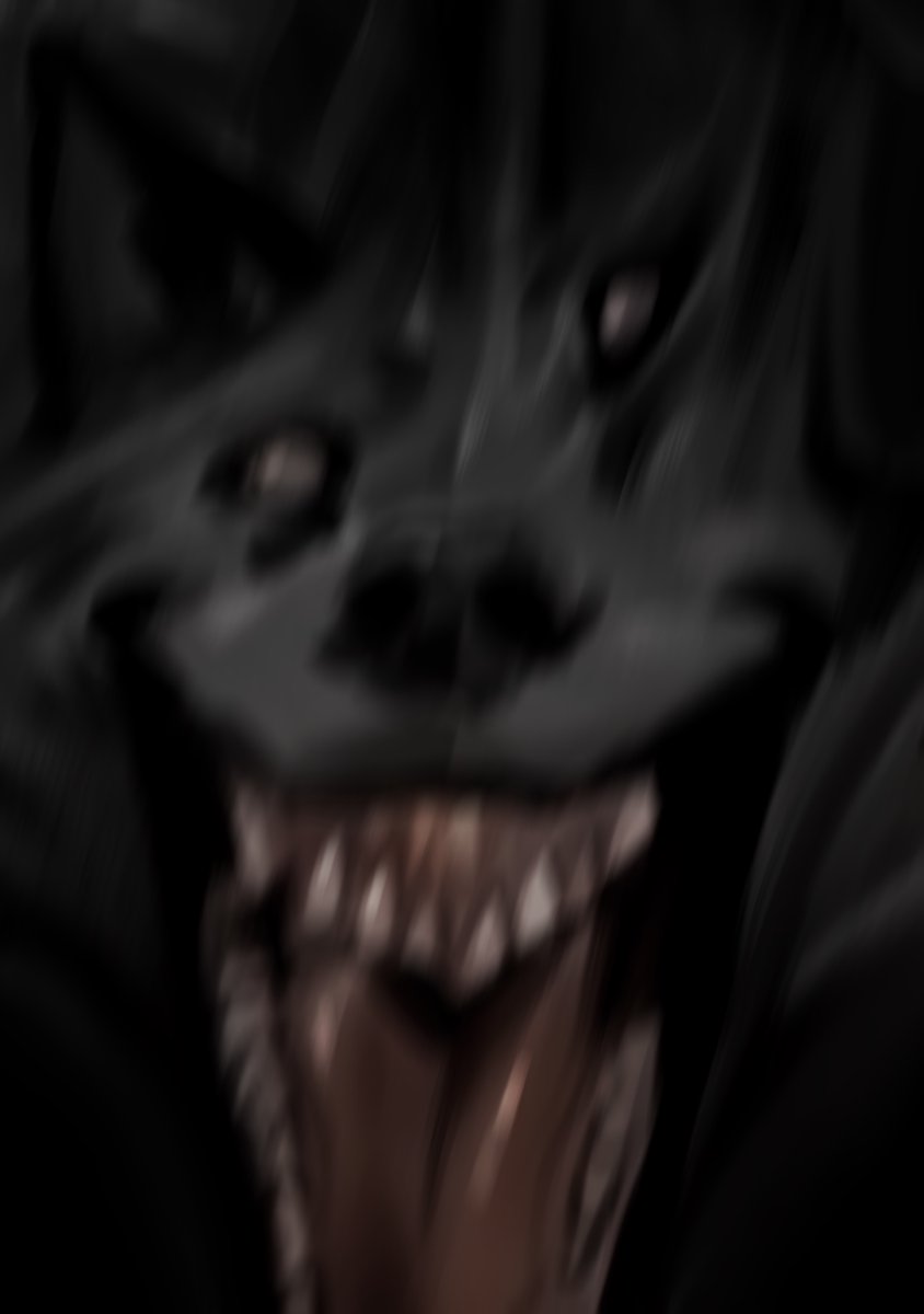 AmonDyd's tweet image. Be a happy, happy dog