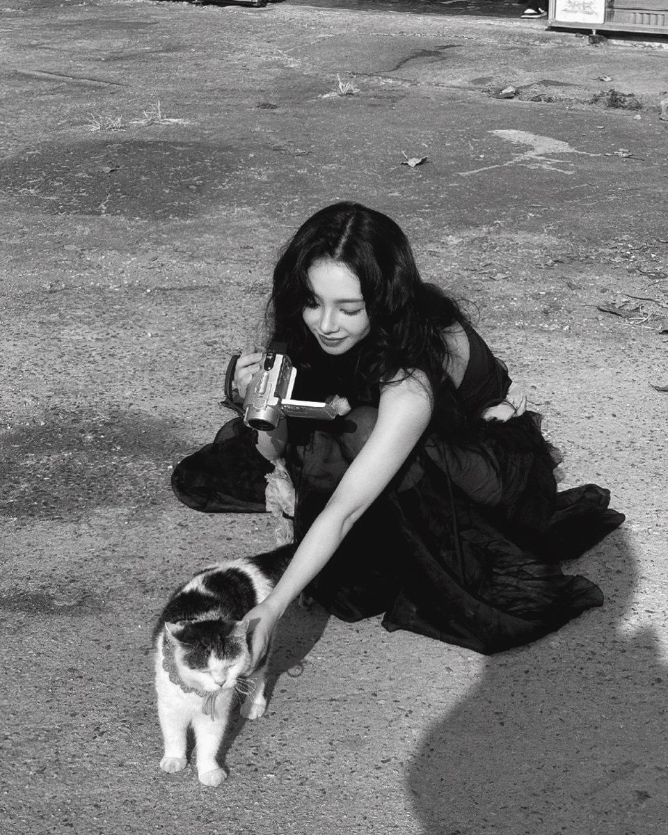 onitsuika's tweet photo. ㅤ 

Di Jakarta, di Solo, dimanapun main kucing. 

ㅤ https://t.co/Bgbn1Ujokw